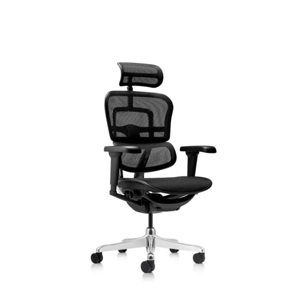 Silla Ergonómica Ergohuman Original Malla