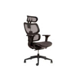 Silla  Ergonómica Ergoplus Negra Apoya Pies