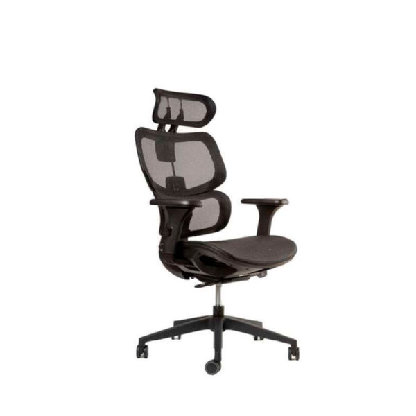 Silla  Ergonómica Ergoplus Negra Apoya Pies