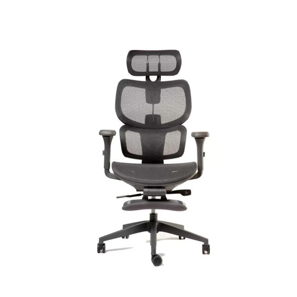 Silla  Ergonómica  Ergoplus gris Apoya Pies