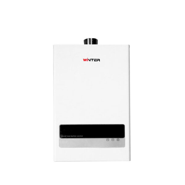 Calefont Tiro Forzado 10 Lt gas licuado Winter