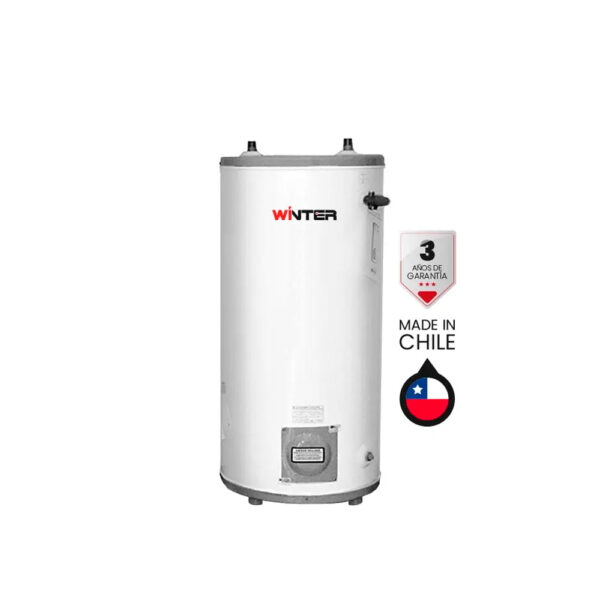 Termo Eléctrico Galvanizado 120 Lt 220v Pie