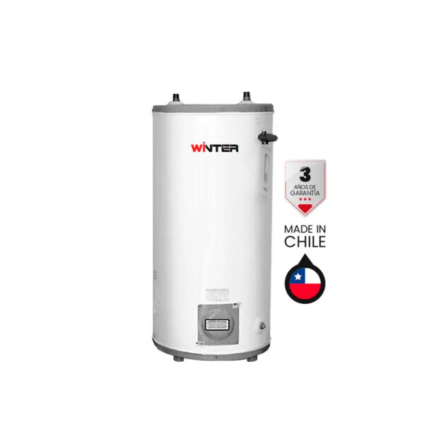 Termo Eléctrico Galvanizado 60 litros 220v Pie