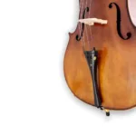 Violoncello Freeman Classic 4/4 CNF202E ABR - Imagen 7