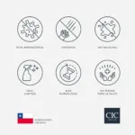 Clóset 6 Puertas 6 Cajones Maipo Cerezo - Imagen 7